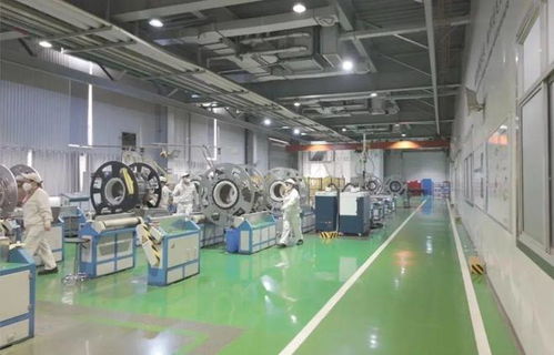 以教育之強(qiáng)譜寫高質(zhì)量發(fā)展新篇 浙大勇?lián)姑遗c教育強(qiáng)國共成長